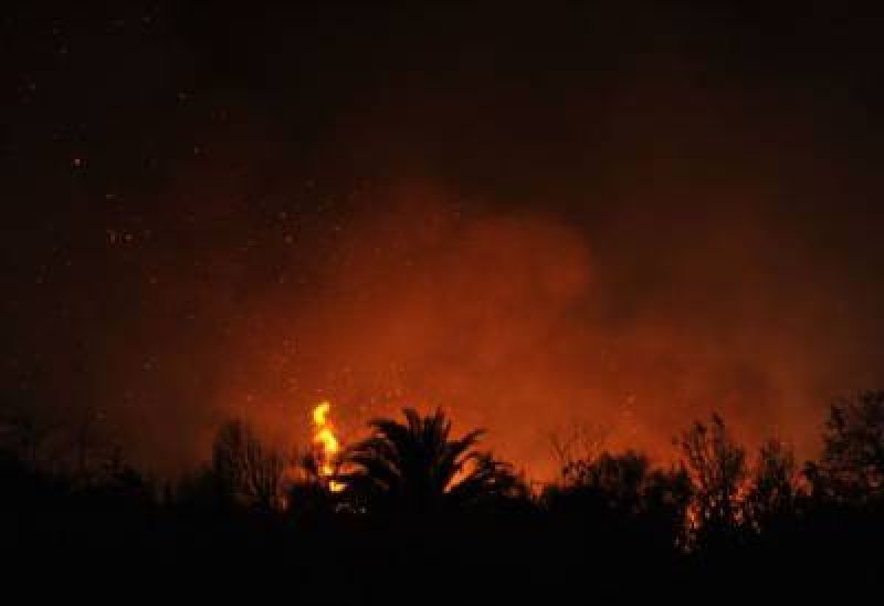 Otro incendio en la Reserva