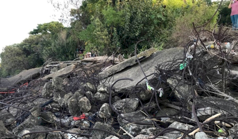 Denuncian el abandono de la Reserva Ecológica Costanera Sur