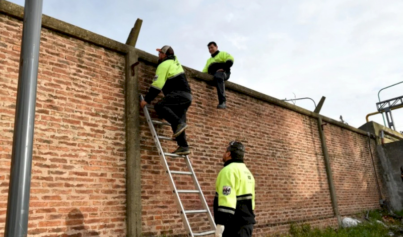 El poder del muro