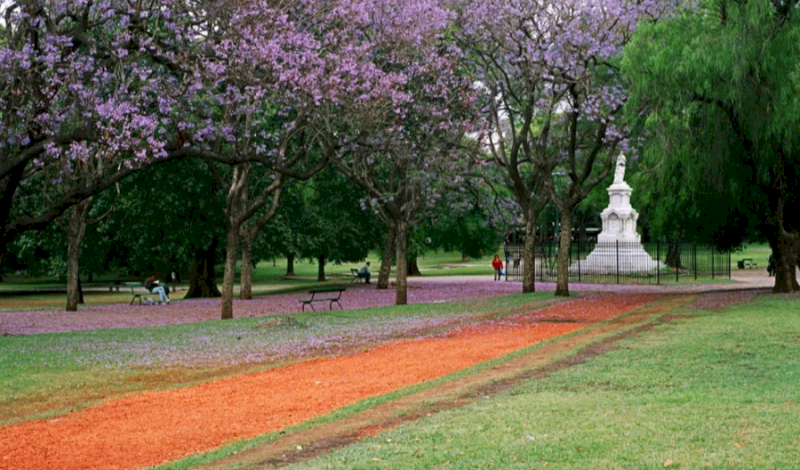 En el Parque Ameghino, no