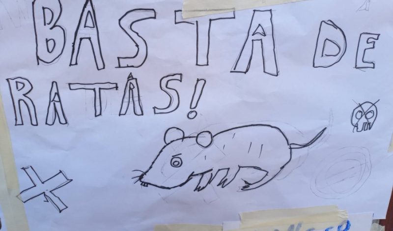 Otra vez ratas