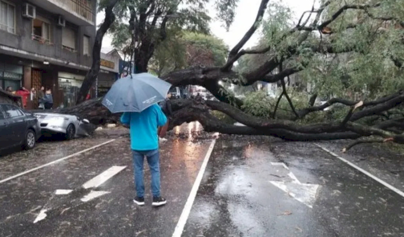 Destrozos por la tormenta