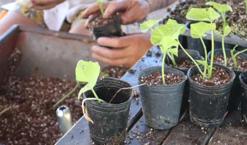 Abrió la inscripción a los voluntariados de agricultura urbana en Villa Soldati
