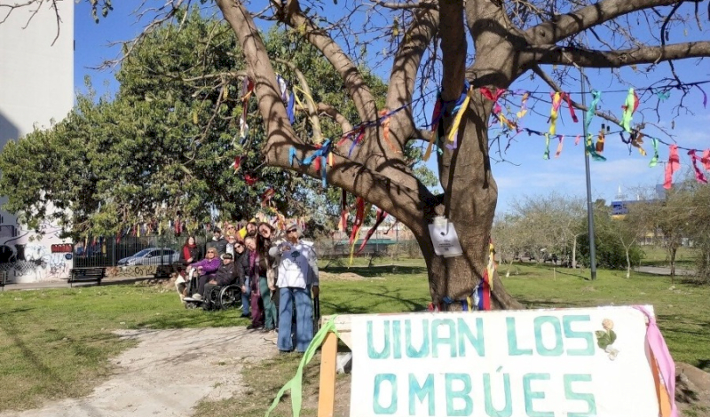 Lucha por la defensa de los ombúes y el espacio verde en La Boca