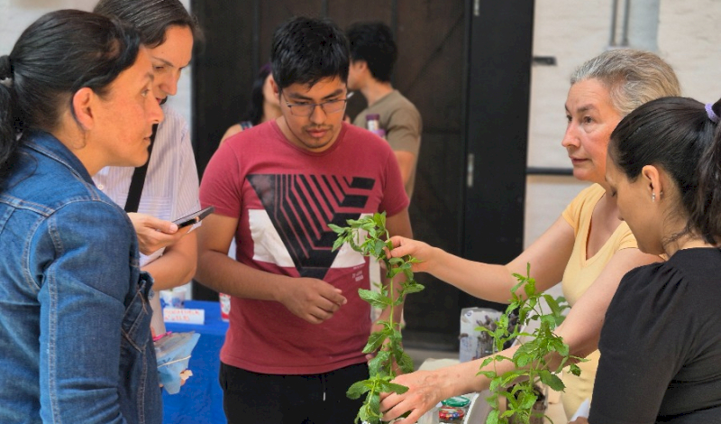 Compartir, intercambiar e interactuar